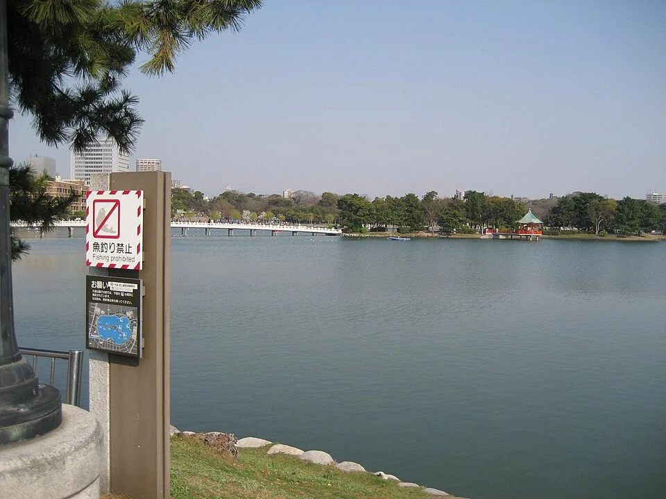 2008年撮影の福岡市中央区・大濠公園の水辺