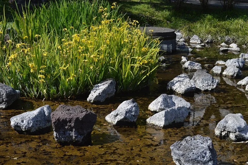 2020年撮影の静岡県三島市・白滝公園の景観
