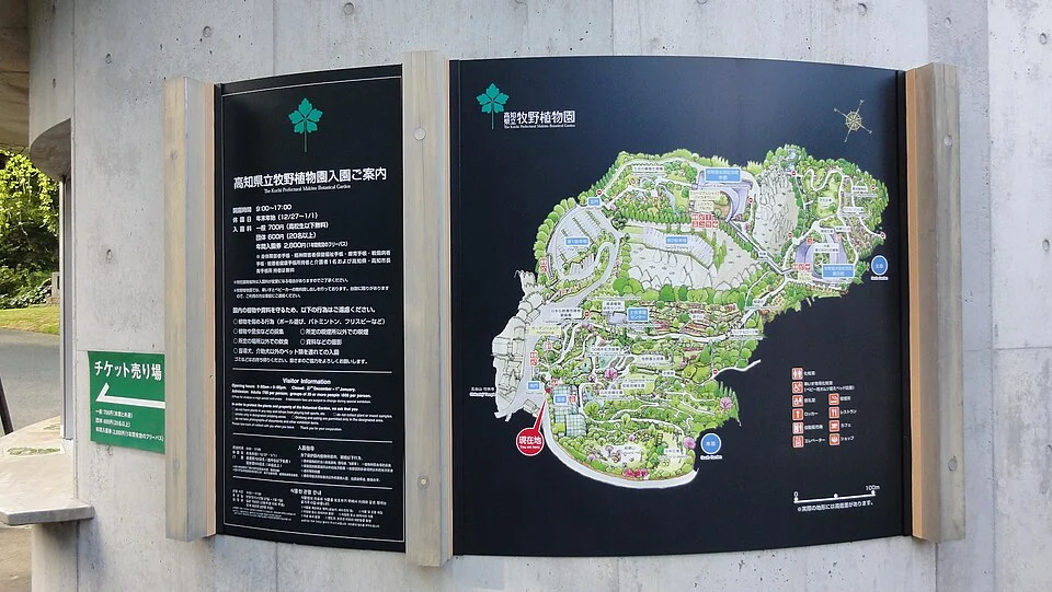2013年撮影の高知県立牧野植物園内の温室と植物